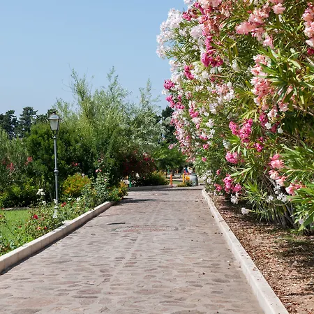 Club Marina Hotel 4*