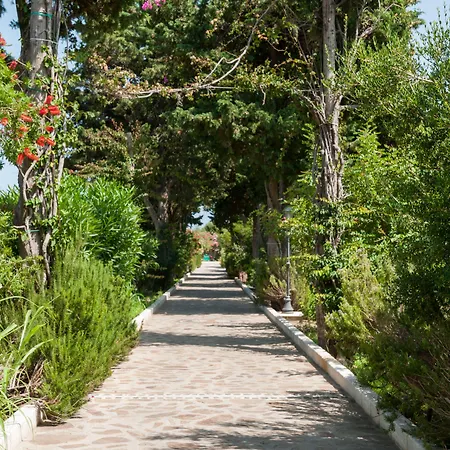 Club Marina Hotel 4*