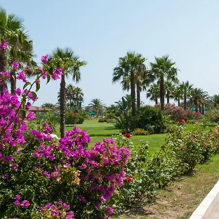 Club Marina אורוסיי